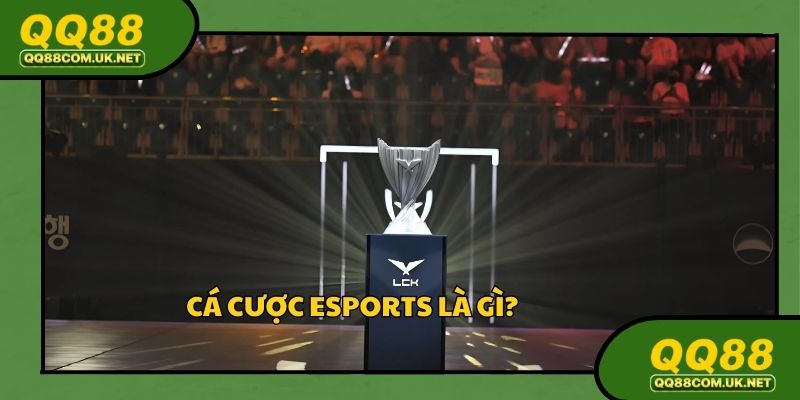 Cá cược Esports thu hút nhiều người quan tâm