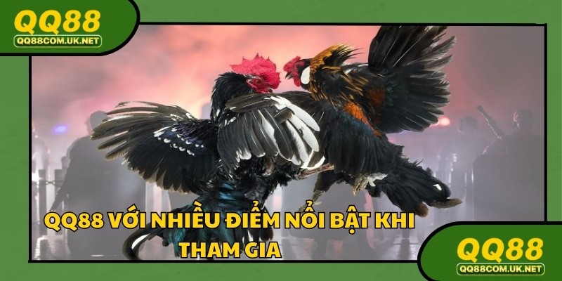QQ88 đem lại lợi ích hấp dẫn khi cược đá gà online